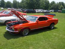 mustang